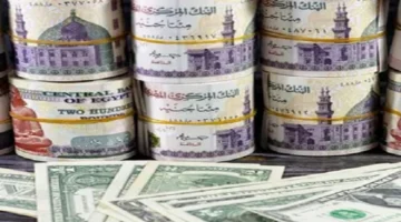 قفزة سعر الدولار.. كيف يهدد نقص السيولة استقرار حركة الأسواق المحلية؟